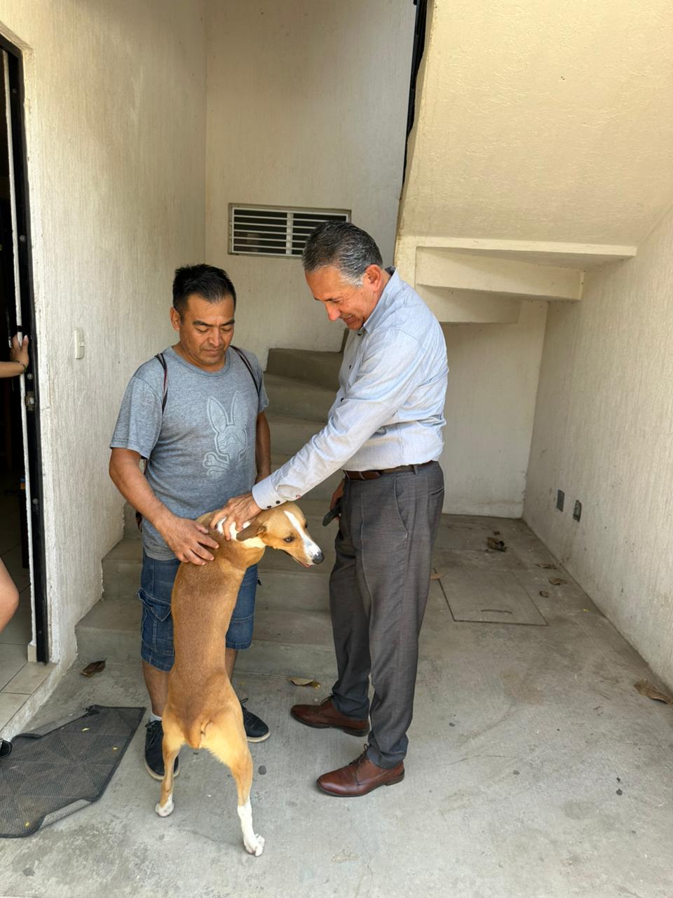 Héctor Santana reafirma su compromiso con el bienestar animal tras caso en Valle Esmeralda