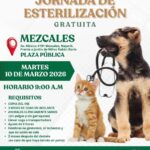Gobierno de Bahía de Banderas invita a jornada gratuita de esterilización