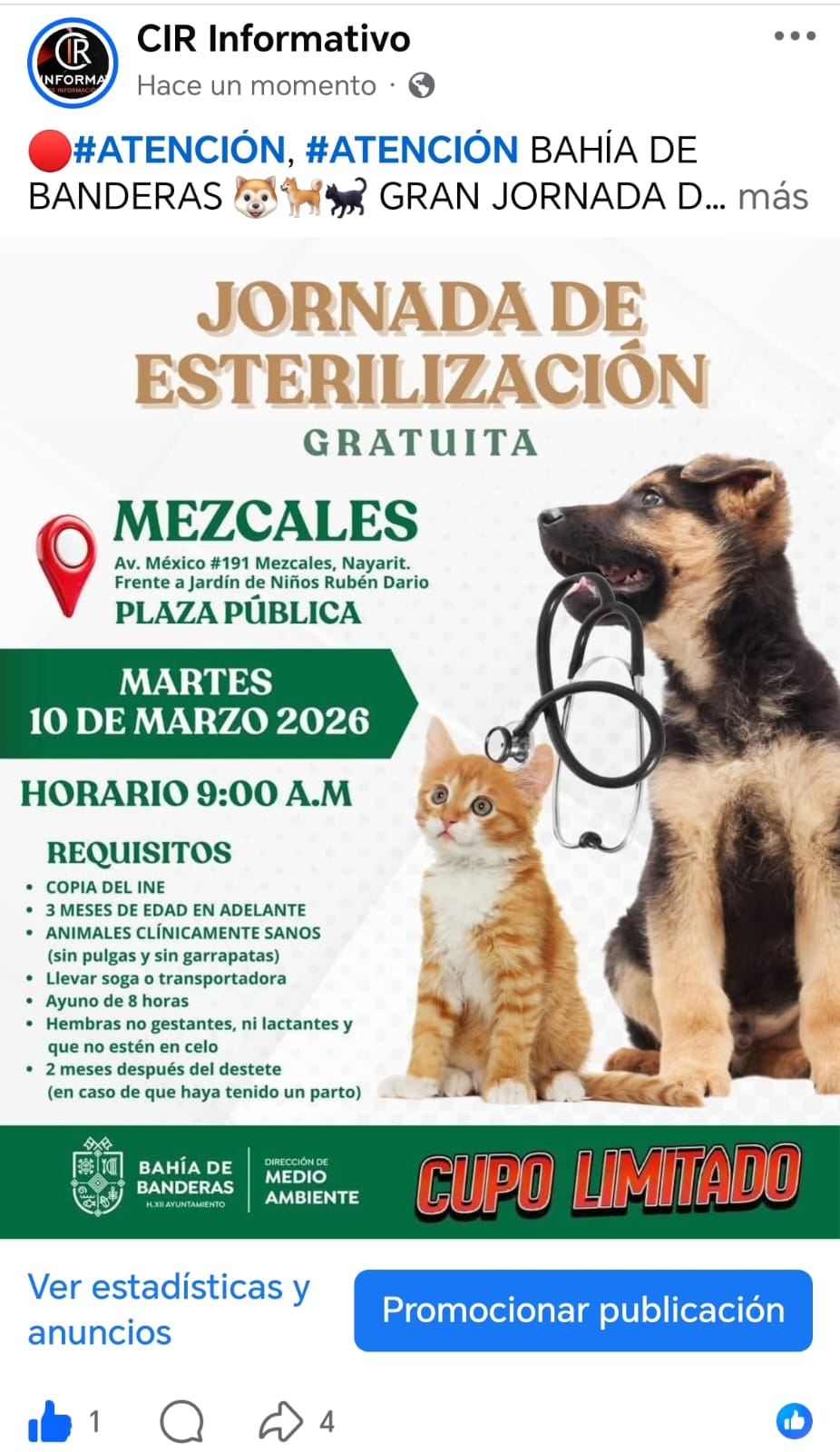 Gobierno de Bahía de Banderas invita a jornada gratuita de esterilización