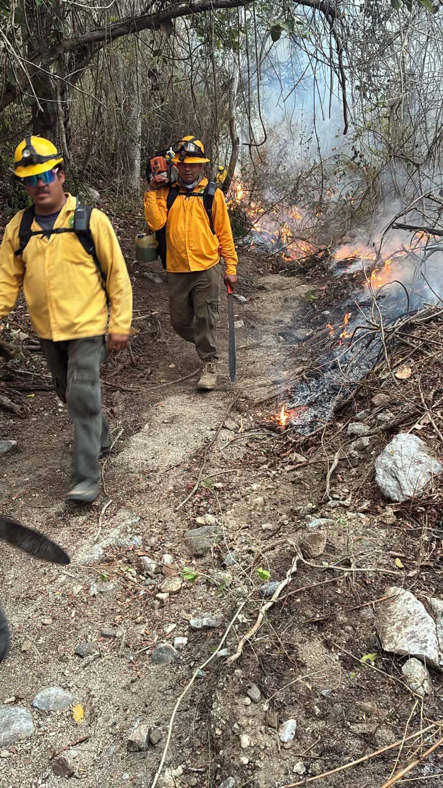 Brigada interinstitucional refuerza labores para sofocar incendio en La Cruz de Huanacaxtle
